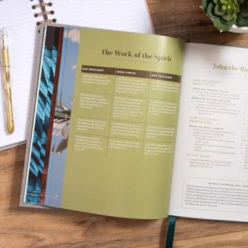 New Testament Handbook, Stone Cloth Over Board, Full-color Design, Commentary, Charts, Maps, Outlines, Timelines, Word Studies