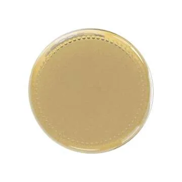 Organic Ginger Powder for Cooking & Baking - Perfect Spice