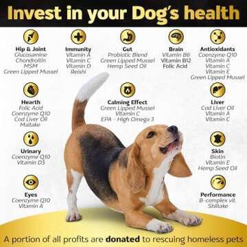 Soft Chews Dog Vitamins & Supplements - Multivitamin for Health