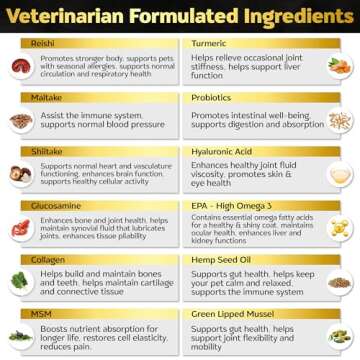 Premium Dog Multivitamin Soft Chews for Health Support