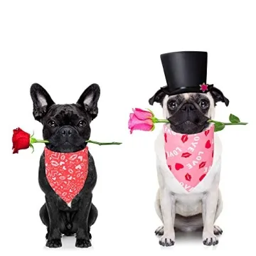 ADOGGYGO Valentine's Day Dog Bandana for All Breeds