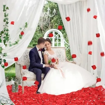 BESKIT 3000 PCS Dark Red Silk Rose Petals for Celebrations