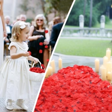 BESKIT 3000 PCS Dark Red Silk Rose Petals for Celebrations