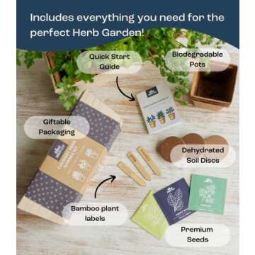 Herb Garden Kit Indoor – Indoor Herb Garden Starter Kit – Basil, Parsley & Cilantro Plant Seeds ...