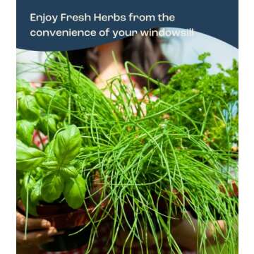 Herb Garden Kit Indoor – Indoor Herb Garden Starter Kit – Basil, Parsley & Cilantro Plant Seeds – Sturdy Reusable Planter, Enriched Soil & Bamboo Labels – Indoor Garden Kit by Urban Leaf