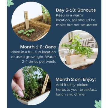 Herb Garden Kit Indoor – Indoor Herb Garden Starter Kit – Basil, Parsley & Cilantro Plant Seeds – Sturdy Reusable Planter, Enriched Soil & Bamboo Labels – Indoor Garden Kit by Urban Leaf
