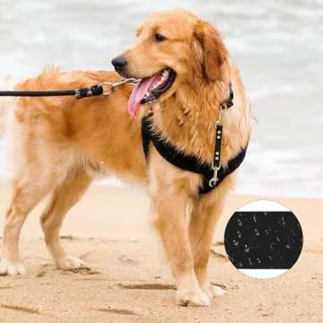 PetBonus Dog Collar Safety Clip, Waterproof Prong Collar Backup Safety Strap for Dog Harness to Collar, Odor Proof Double Ended Clasp Leash Connector for Training Walking (Black)