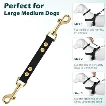 PetBonus Dog Collar Safety Clip, Waterproof Prong Collar Backup Safety Strap for Dog Harness to Collar, Odor Proof Double Ended Clasp Leash Connector for Training Walking (Black)