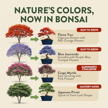 HOME GROWN Bonsai Tree Starter Kit for Beginners – Unique Christmas Gift for Adults, Men & Women -...
