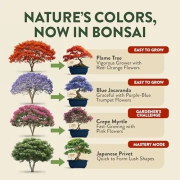 HOME GROWN Bonsai Tree Starter Kit for Beginners – Unique Christmas Gift for Adults, Men & Women -...