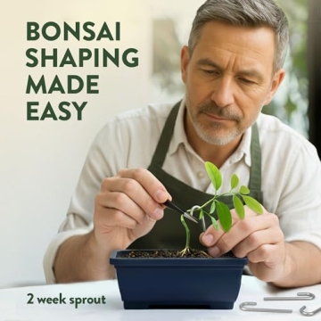 Bonsai Tree Starter Kit - Perfect Gift for Beginners