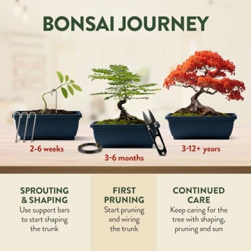 Bonsai Tree Starter Kit - Perfect Gift for Beginners