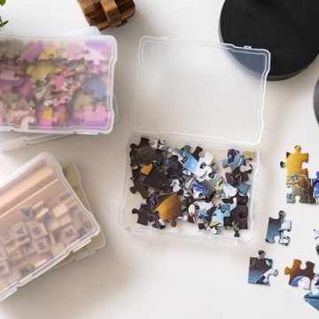 IRIS 5x7 Photo Organizer Box, 10-Pack for Crafting