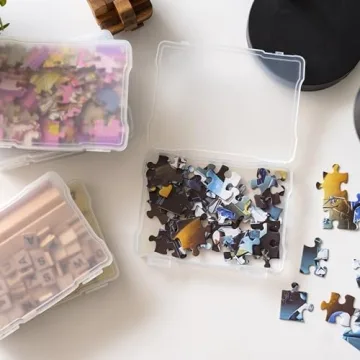 IRIS 5x7 Photo Organizer Box, 10-Pack for Crafting