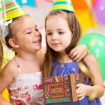 Engaging Metal Wire Puzzles for All Ages and Skill Levels