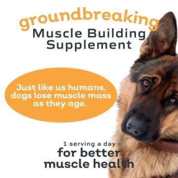 MYOS Canine Muscle Formula - All-Natural Muscle Building Supplement - Helps Reduce Muscle Loss in Dogs Due to Normal Aging and Improves Recovery from Injury or Surgery