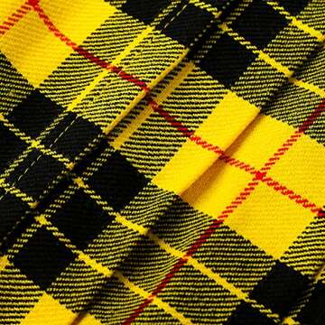 Tartanista Womens 16.5 in Plaid Tartan Mini Kilt Skirt Macleod of Lewis 10 US