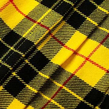 Tartanista Womens 16.5 in Plaid Tartan Mini Kilt Skirt Macleod of Lewis 10 US