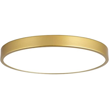 MonDaufie 12 Inch Adjustable Color LED Gold Flush Mount Ceiling Light