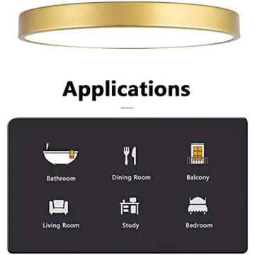 MonDaufie 12 Inch Gold Ceiling Light Fixture for Any Space