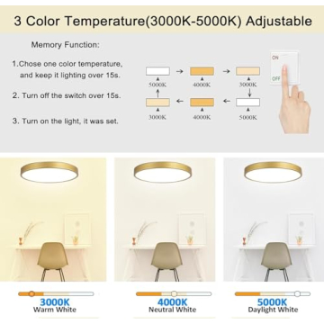 MonDaufie 12 Inch Gold Ceiling Light Fixture for Any Space