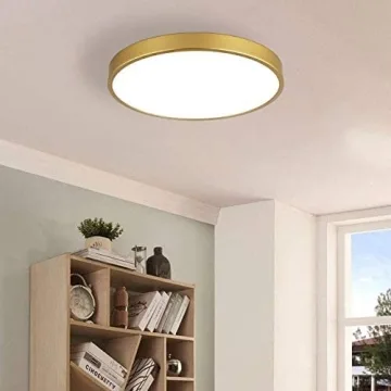MonDaufie 12 Inch Gold Ceiling Light Fixture for Any Space