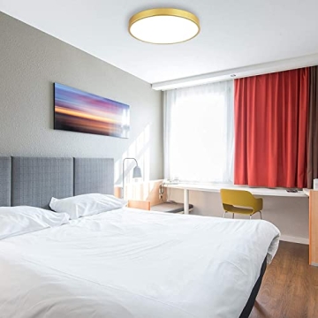 MonDaufie 12 Inch Gold Ceiling Light Fixture for Any Space