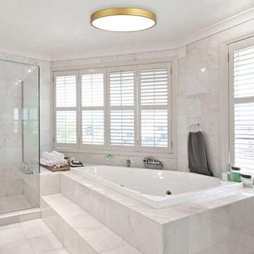 MonDaufie 12 Inch Gold Ceiling Light Fixture for Any Space