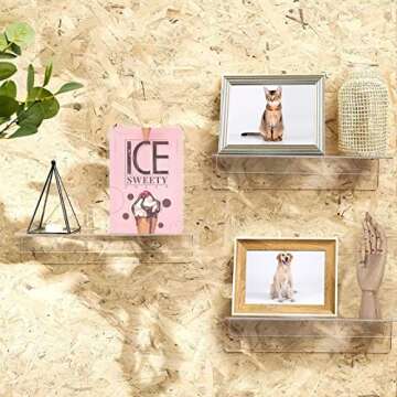 QPEY Clear Acrylic Shelves,15" Invisible Floating Bookshelf Wall Mounted Wall Shelves for Picture Display,Record Storage,Book,Magazine,Files Organizer-Acrylic Shelves 2 Packs