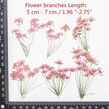 6 pcs Tiny Natural Real Pressed Dried Flower Set for DIY Jewelry & Crafts