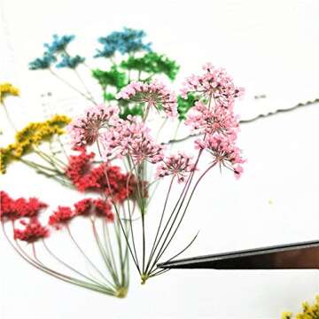 Tiny Natural Pressed Dried Flower Set for Crafting