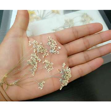 Tiny Natural Pressed Dried Flower Set for Crafting