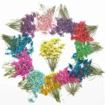 Tiny Natural Pressed Dried Flower Set for Crafting