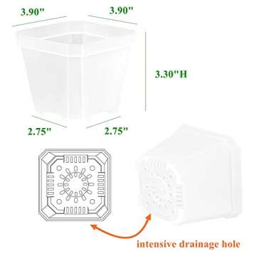 BangQiao 60 Pack Small 3.90 Inch Clear Plastic Square Nursery and Seedling Pot Container, Seed Starting Transplant Planter with Drain Hole for Germination