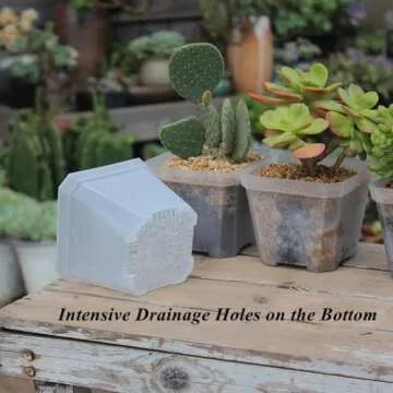 BangQiao 60 Pack Small 3.90 Inch Clear Plastic Square Nursery and Seedling Pot Container, Seed Starting Transplant Planter with Drain Hole for Germination