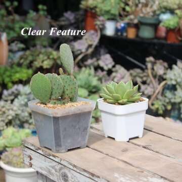 BangQiao 60 Pack Small 3.90 Inch Clear Plastic Square Nursery and Seedling Pot Container, Seed Starting Transplant Planter with Drain Hole for Germination