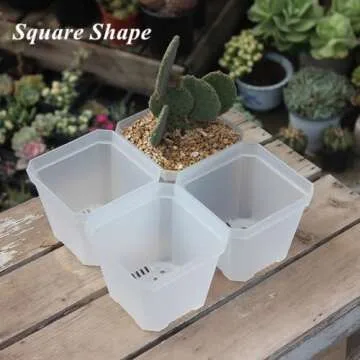 BangQiao 60 Pack Small 3.90 Inch Clear Plastic Square Nursery and Seedling Pot Container, Seed Starting Transplant Planter with Drain Hole for Germination