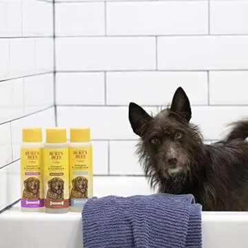 Burt's Bees for Pets Almond & Shea Dog Shampoo and Conditioner - Burt's Bees Dog Shampoo and Conditioner - Naturally Derived Dog Shampoo & Conditioner for Pets, Made in the USA 12 oz