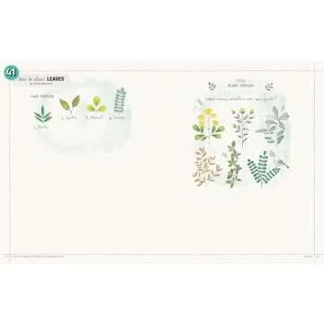 50 Ways to Draw Your Beautiful, Ordinary Life: Practical Lessons in Pencil and Paper (Flow)