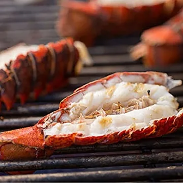 Weber Summit S-460 Built-In stainless steel Grill