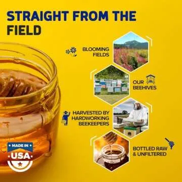 Fischer's 100% Pure, Raw & Unfiltered Honey – USA Made Honey, 24 oz – All-Natural Sweetener – Rich Flavor Profile, Packed with Nutrients