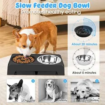 URPOWER Raised Slow Feeder Dog Bowls 4 Height Adjustable Elevated Dog Bowls with Stainless Steel Dog Water Bowl and Dog Slow Feeder Non-Slip Dog Food Bowls Stand for Small Medium Large Dogs and Pets
