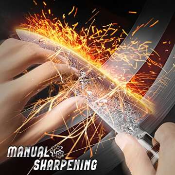 Fanteck Chef Knife 8 Inch, Japanese Damascus Kitchen Knife, Vg10 67 Layer High Carbon Stainless Steel Professional Sharp Chef’s Knife,Pakkawood Handle,Gift box,Plastic sheath& Sharpener