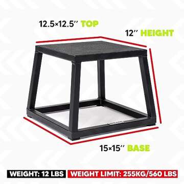 Rage Fitness 12 Inch Steel Plyo Box, black (CF-PB012/S)