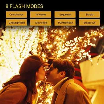 Quntis 82ft 1000 LED Cluster Christmas Lights