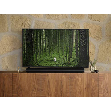 Sonos Arc - Black - Soundbar with Dolby Atmos