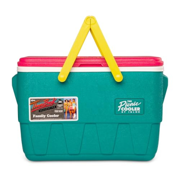 Igloo Retro Jade 25 Qt Cooler for Picnics and Travel