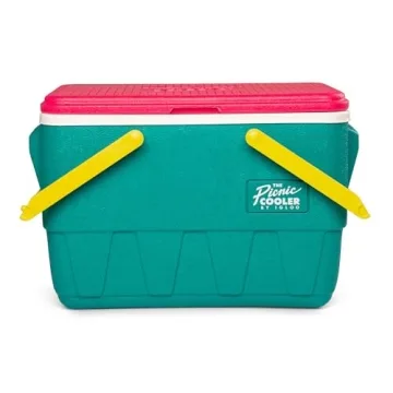 Igloo Retro Jade 25 Qt Cooler for Picnics and Travel