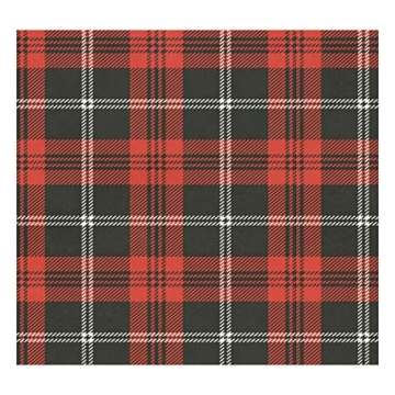 Red Black Plaid Insulated Thermos for Hot and Cold Drinks