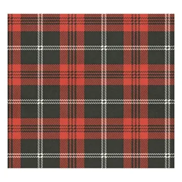 Red Black Plaid Insulated Thermos for Hot and Cold Drinks